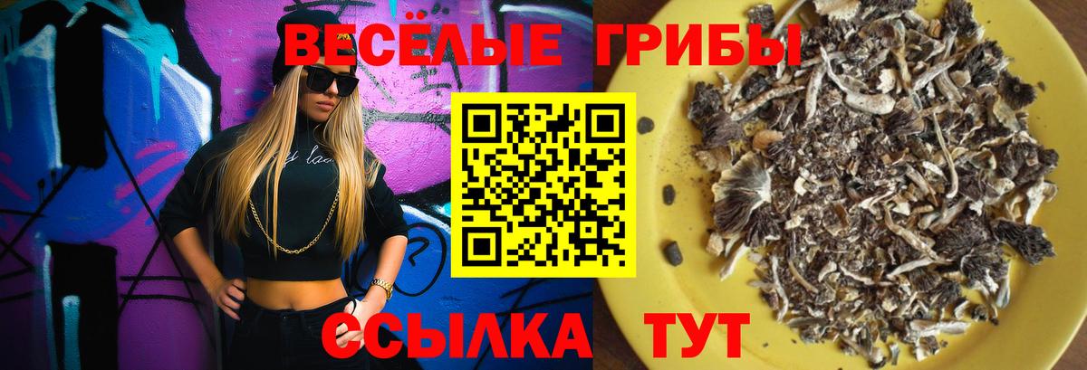 Южно-Сахалинск  Галлюциногенные грибы ЛСД  Вход с VPN 